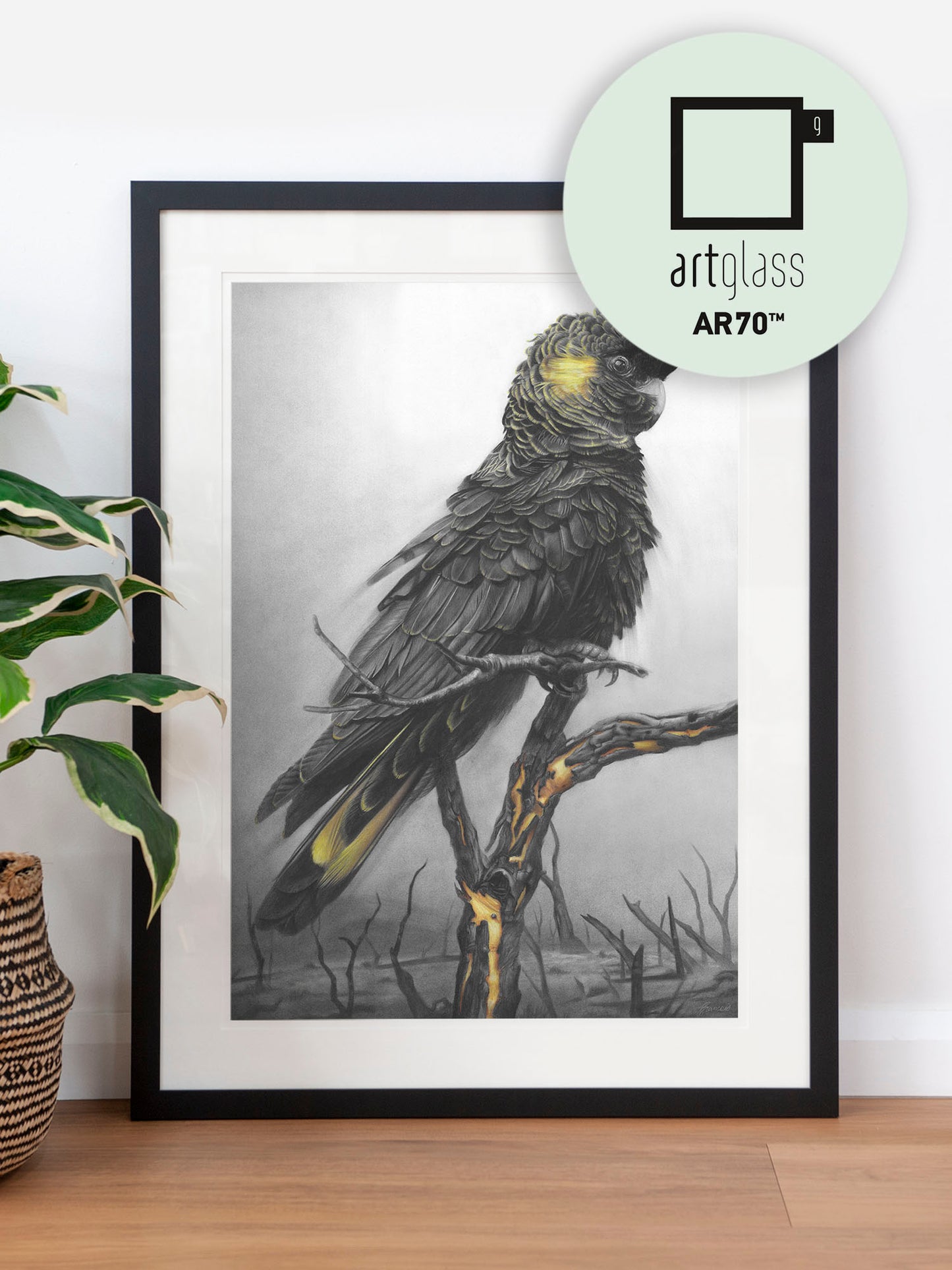 'Black Cockatoo' art print