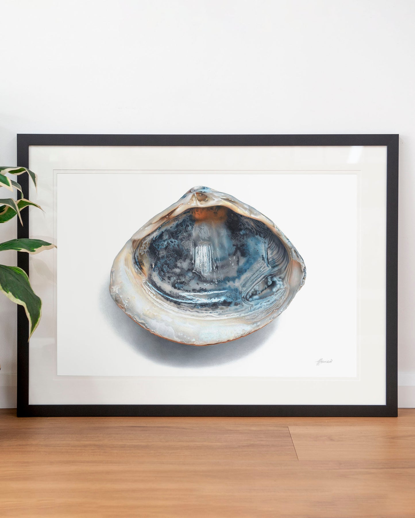 'Blue Shell' art print