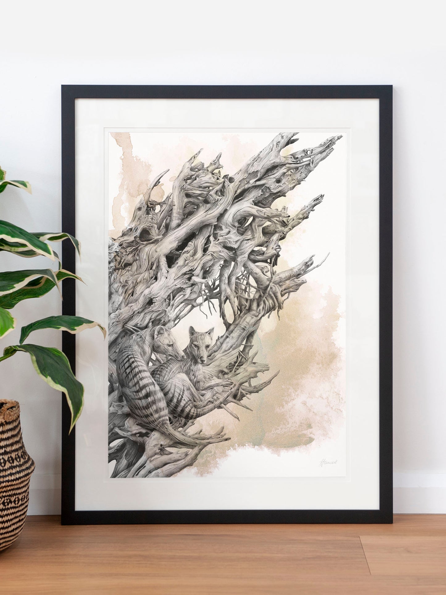 'Driftwood Thylacine' art print (with colour)