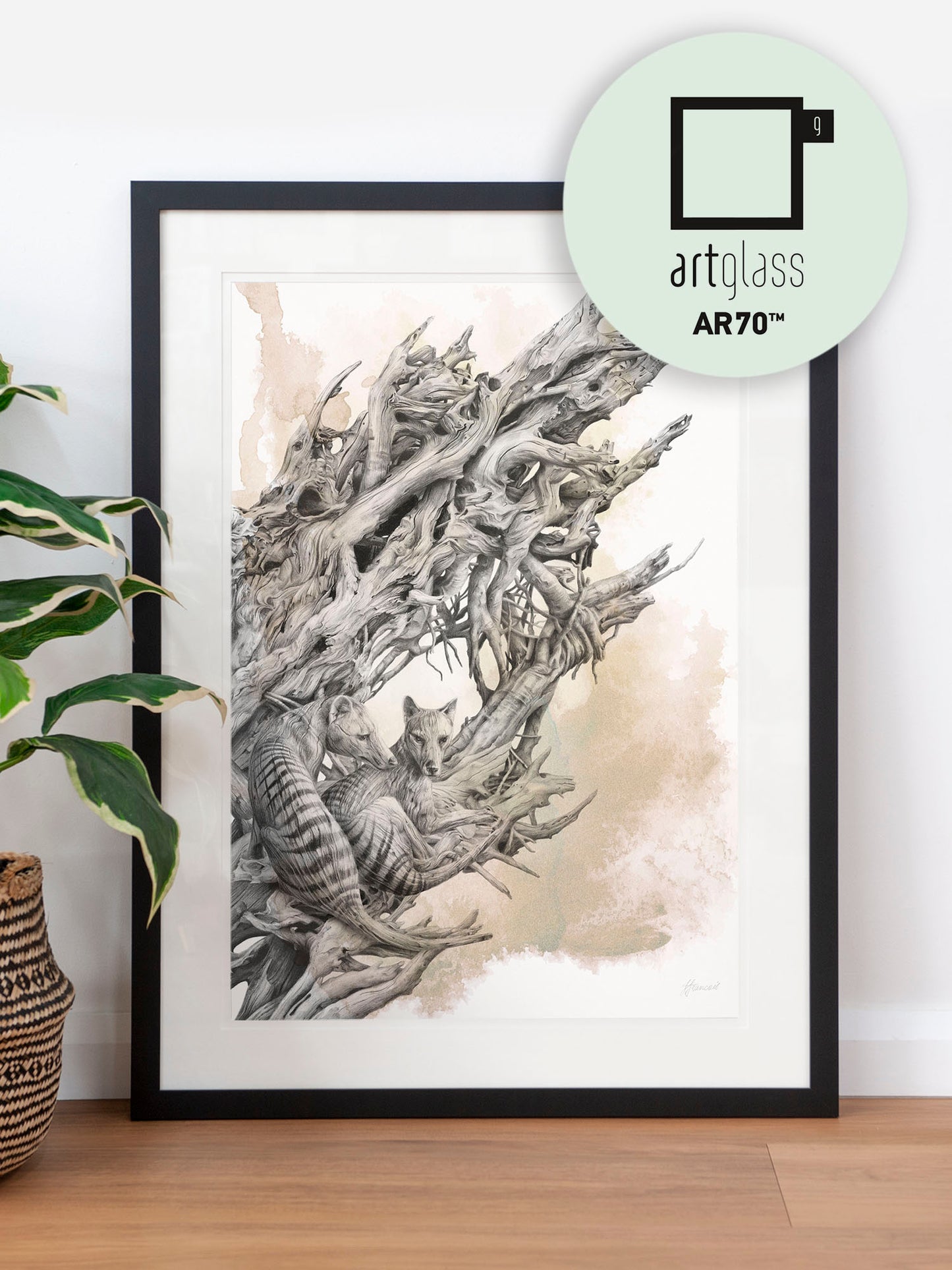 'Driftwood Thylacine' art print (with colour)