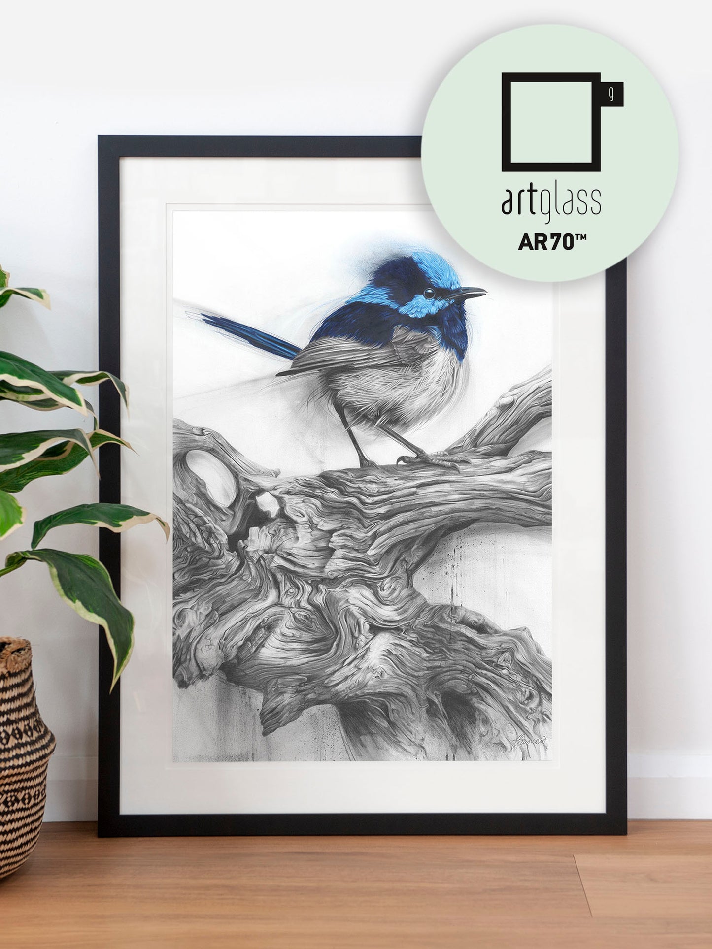 'Fairy Wren' art print