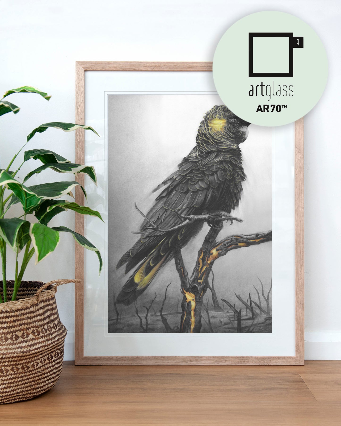 'Black Cockatoo' art print