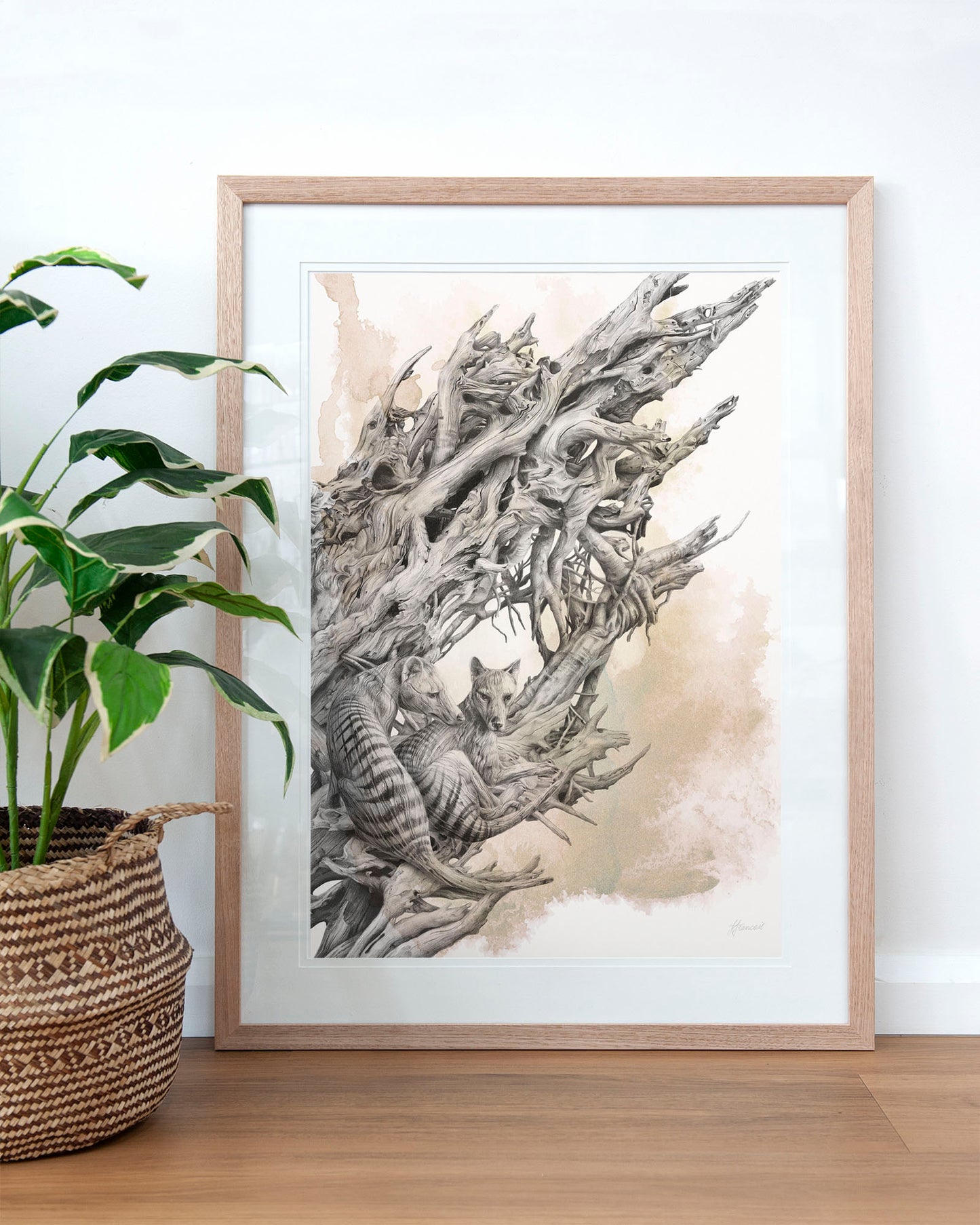 'Driftwood Thylacine' art print (with colour)