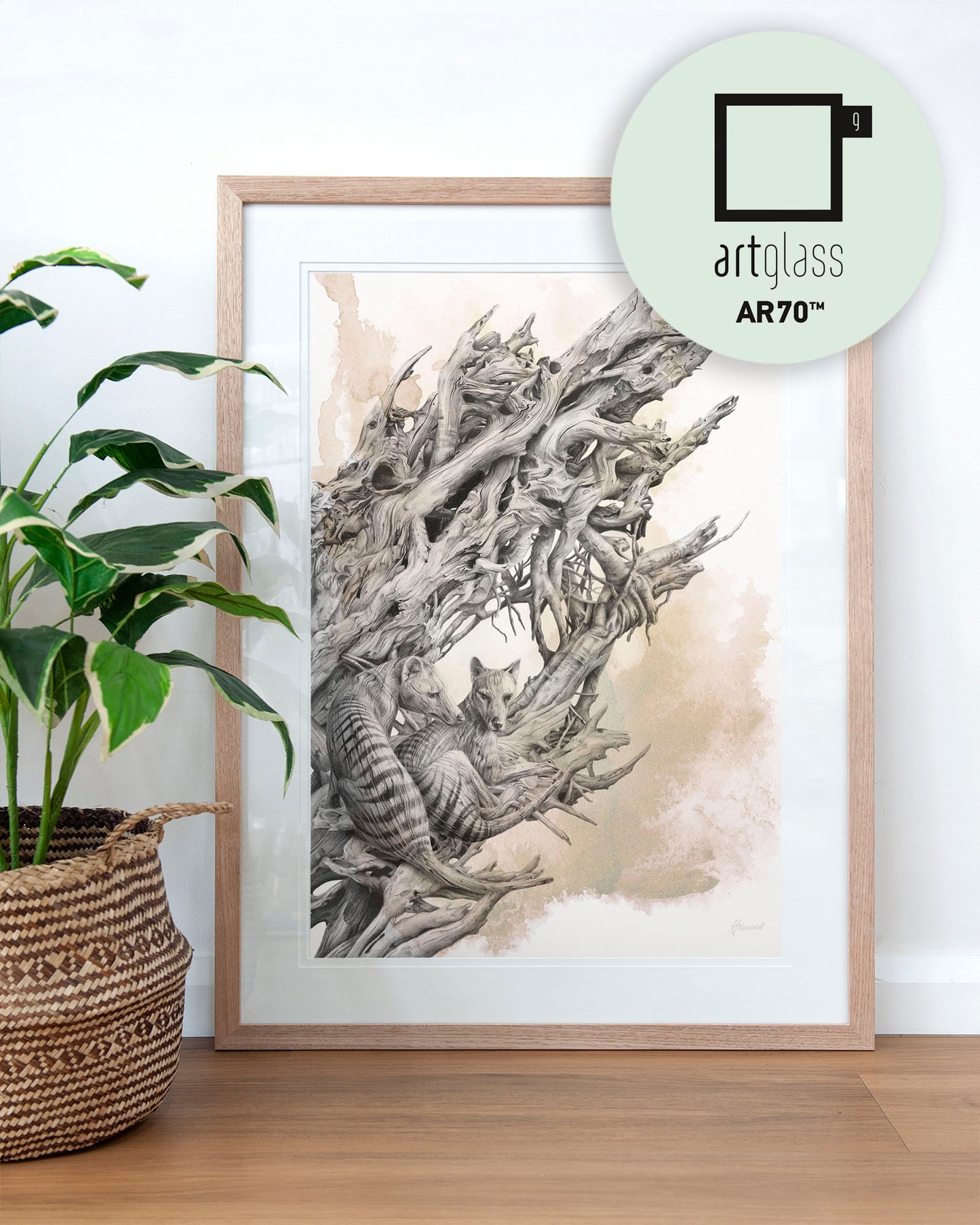 'Driftwood Thylacine' art print (with colour)