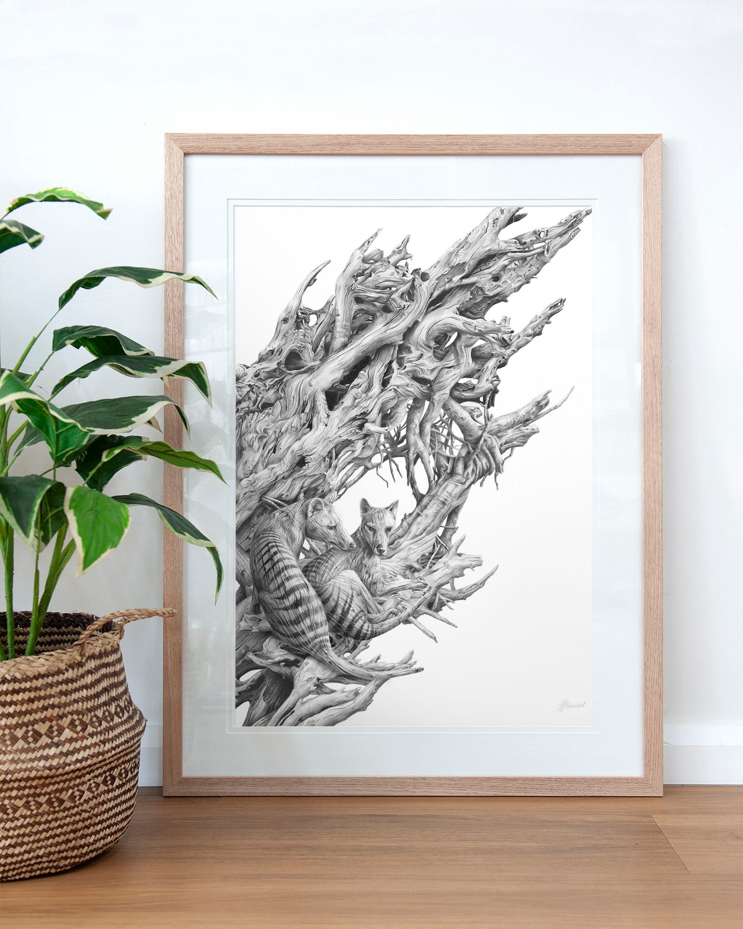 'Driftwood Thylacine' art print