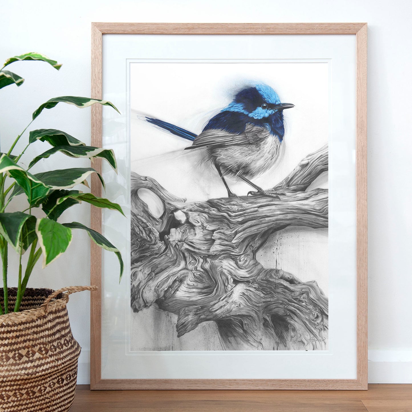 'Fairy Wren' art print