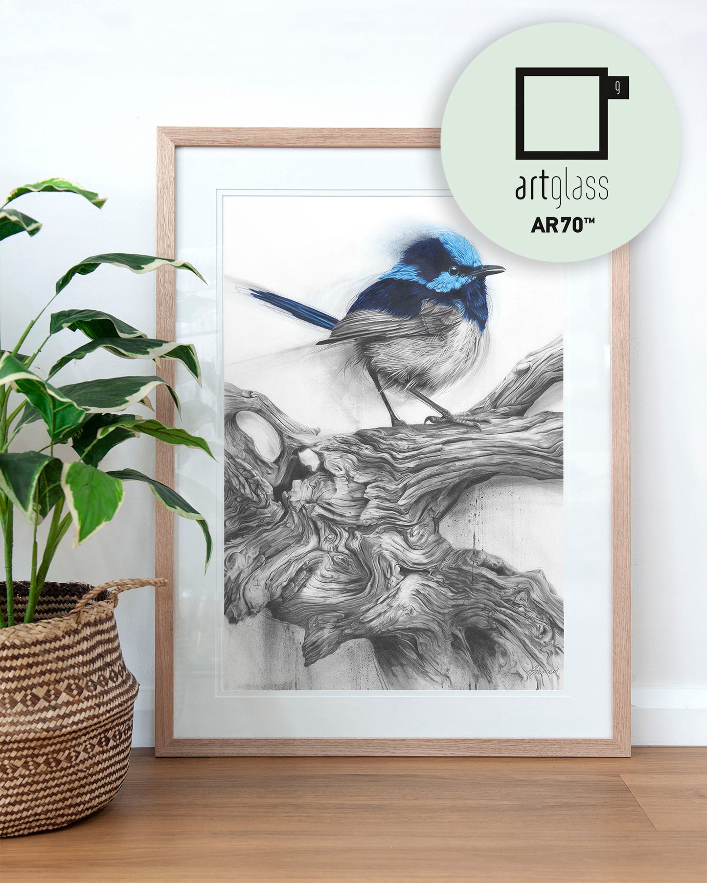'Fairy Wren' art print