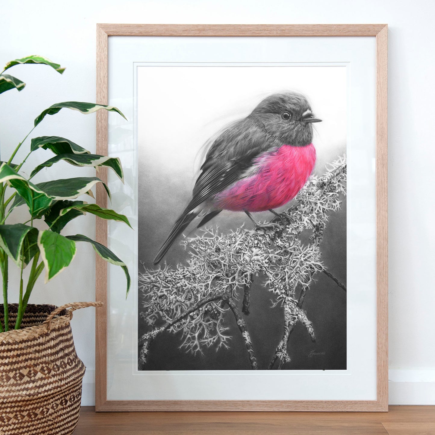 'Pink Robin' art print