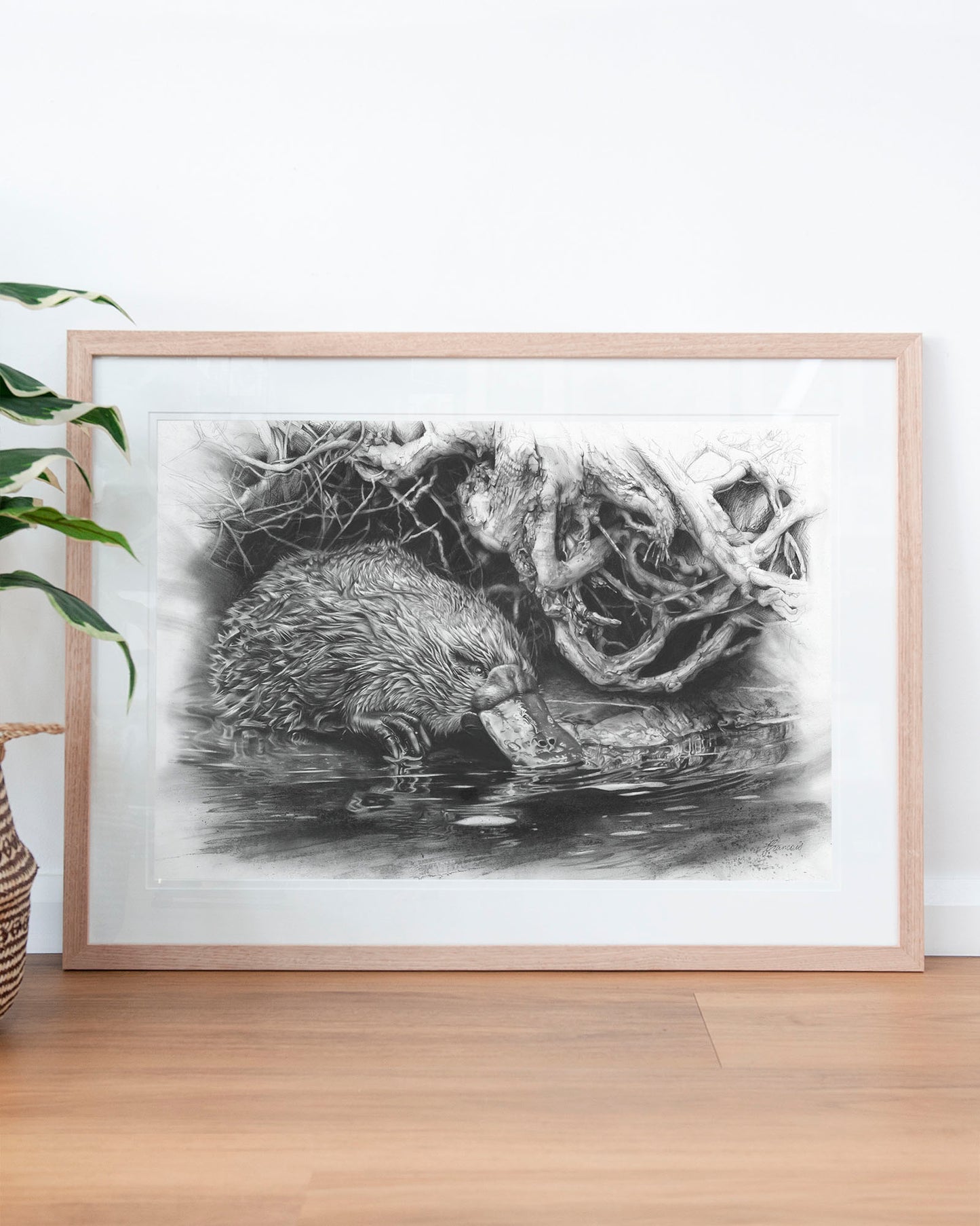 'Platypus' art print