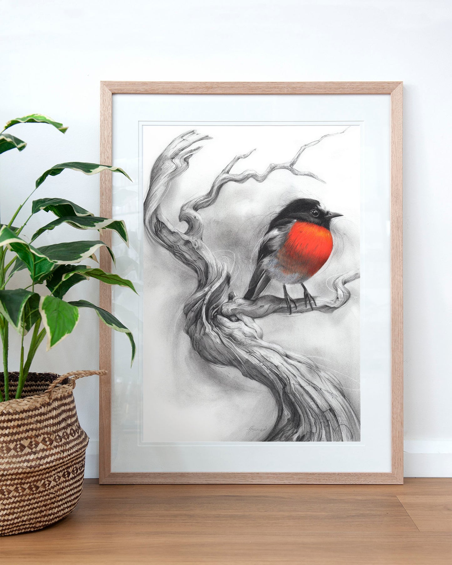 'Scarlet Robin' art print