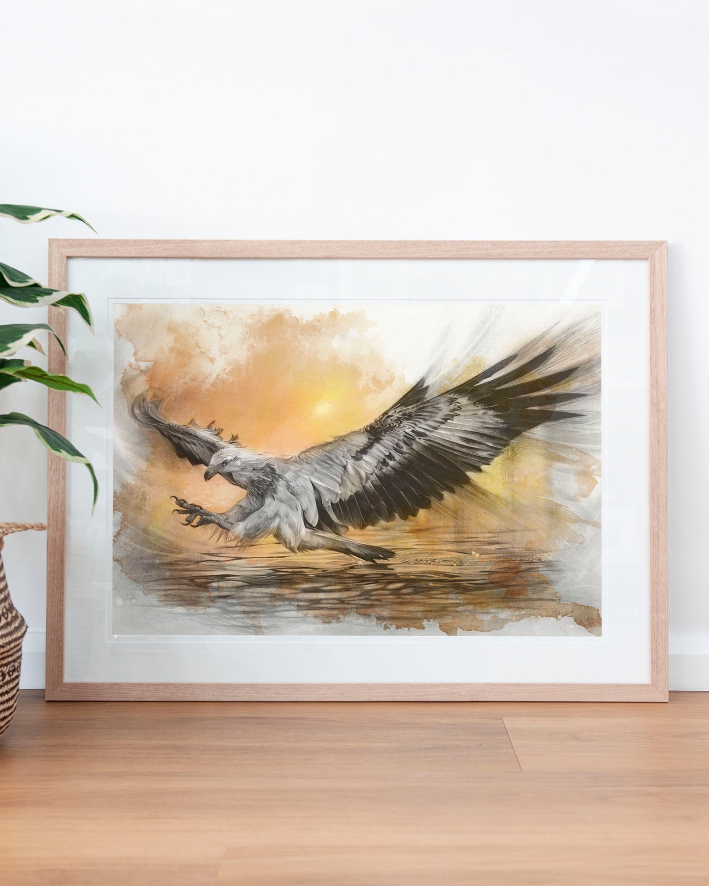 'White-bellied Sea Eagle Sunset' art print