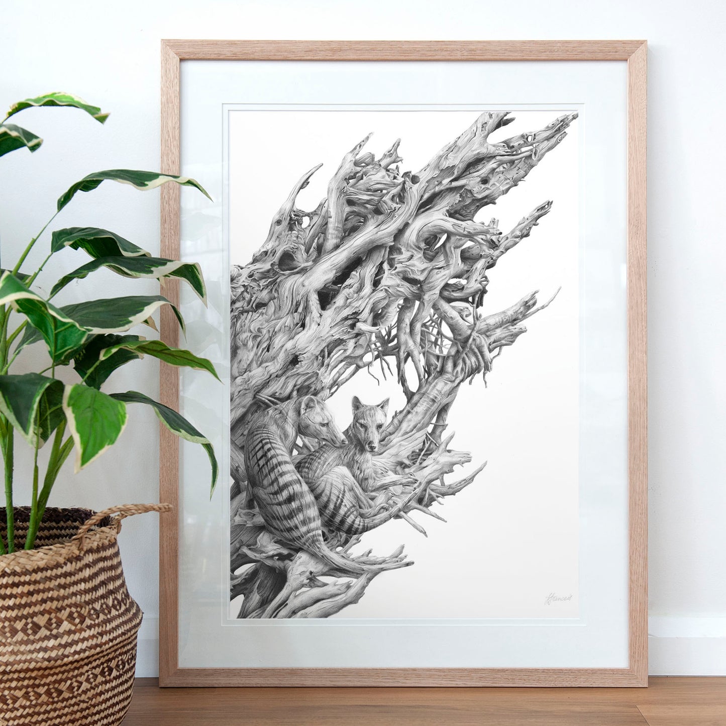 'Driftwood Thylacine' art print