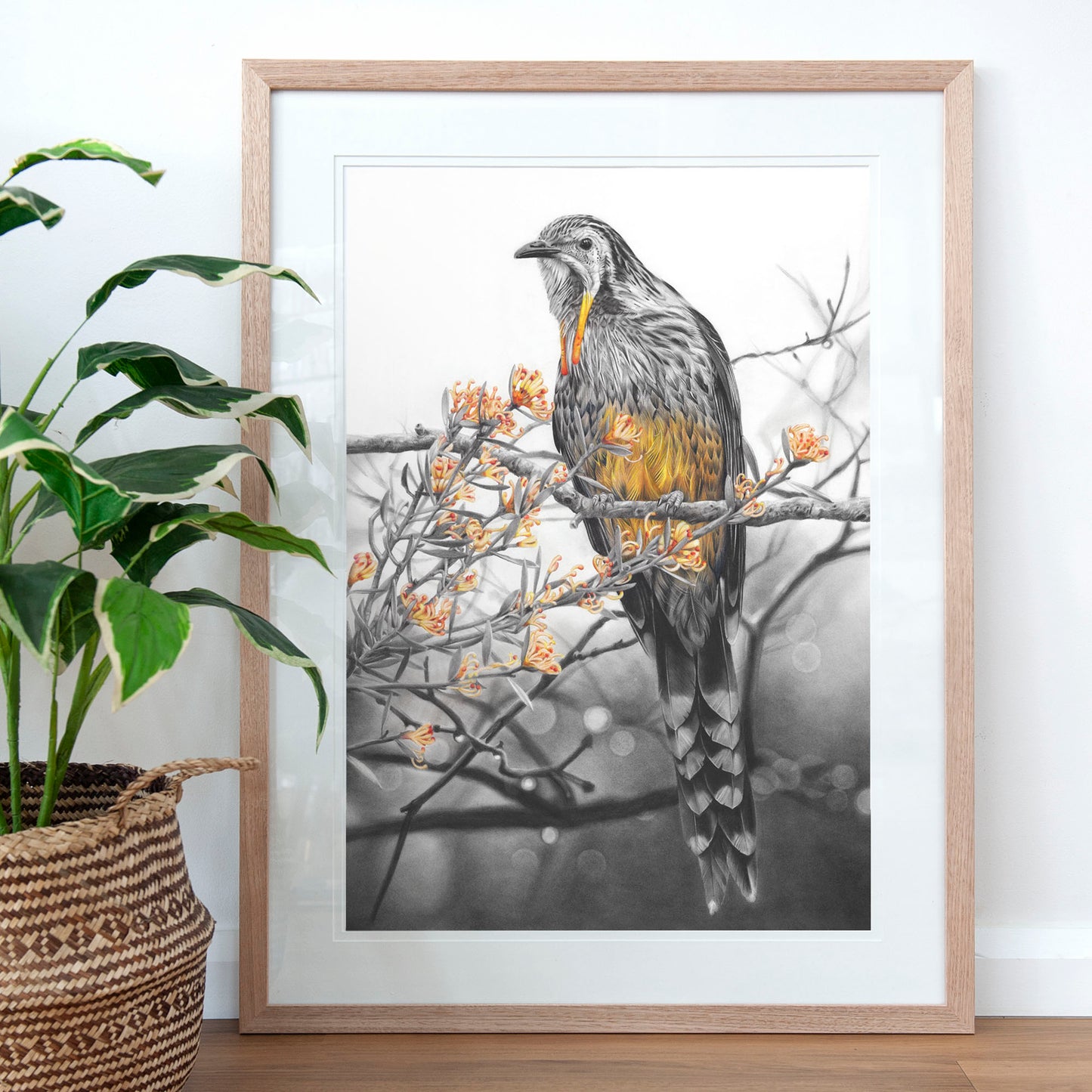 'Yellow Wattlebird' art print