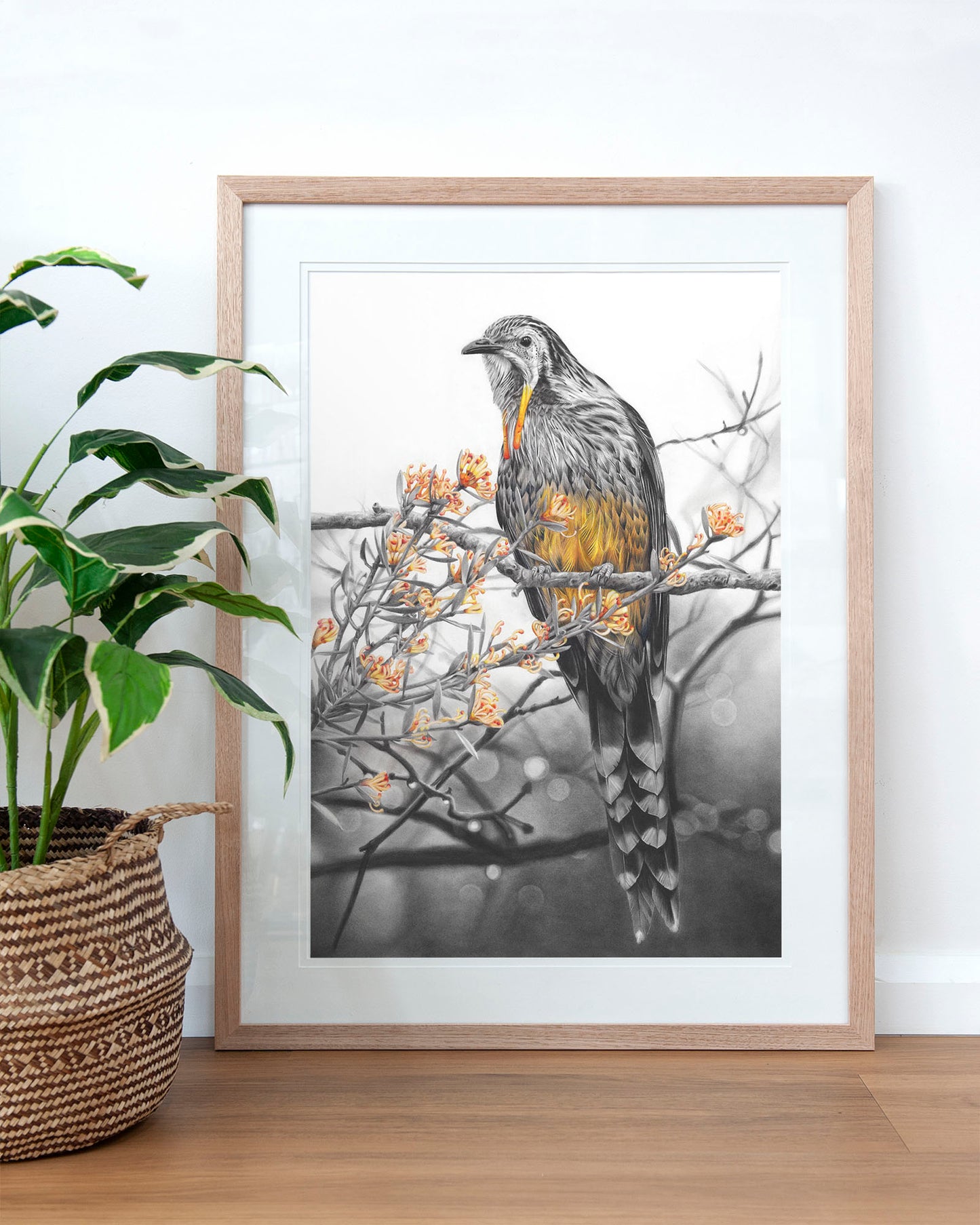 'Yellow Wattlebird' art print