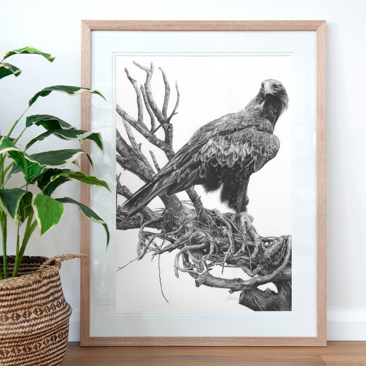 'Wedge-tailed Eagle' art print