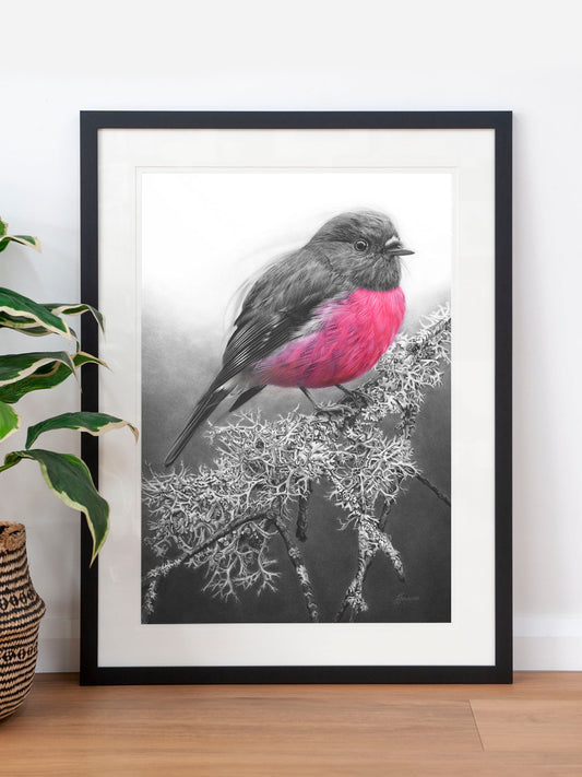 'Pink Robin' art print