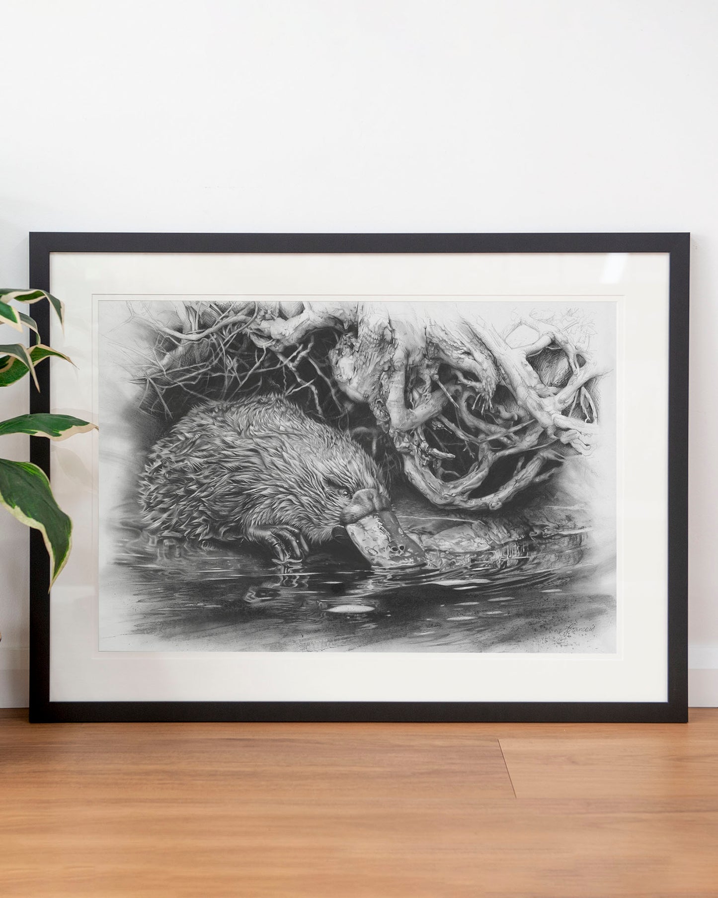 'Platypus' art print