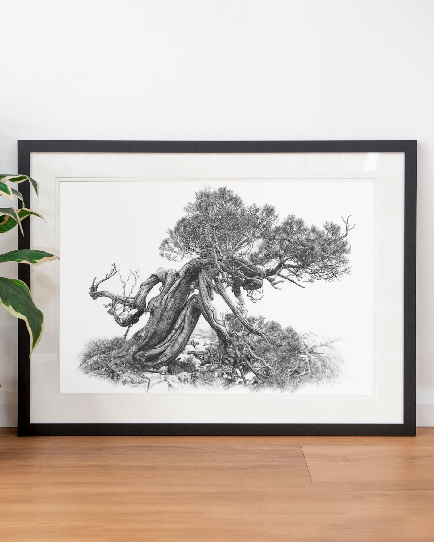 'Tree Elder 2' art print