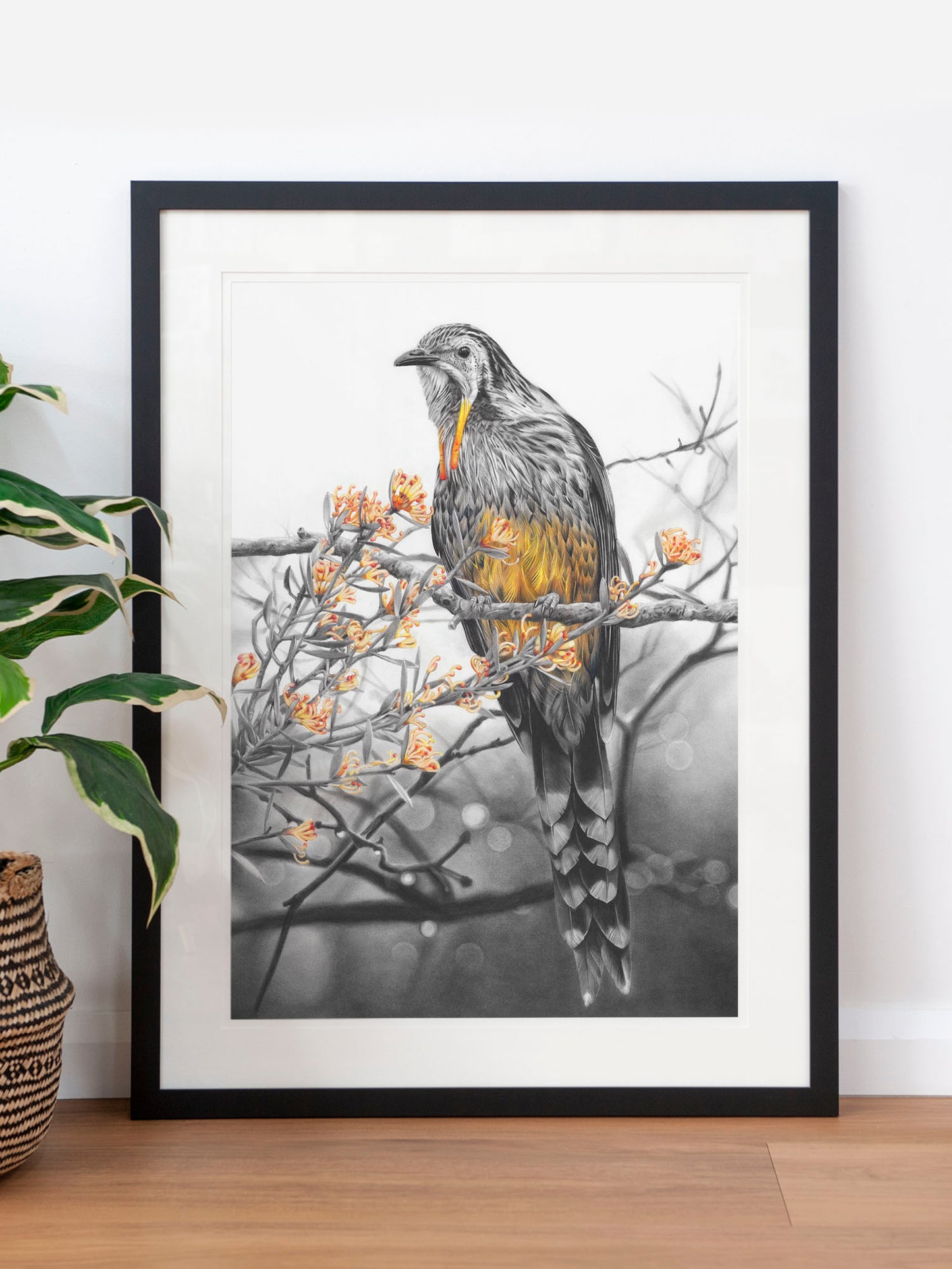 'Yellow Wattlebird' art print
