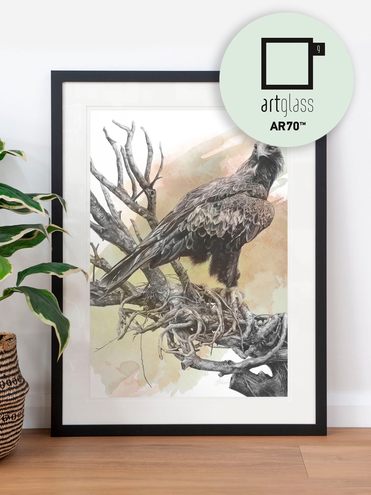 'Wedge-tailed Eagle Colour' art print