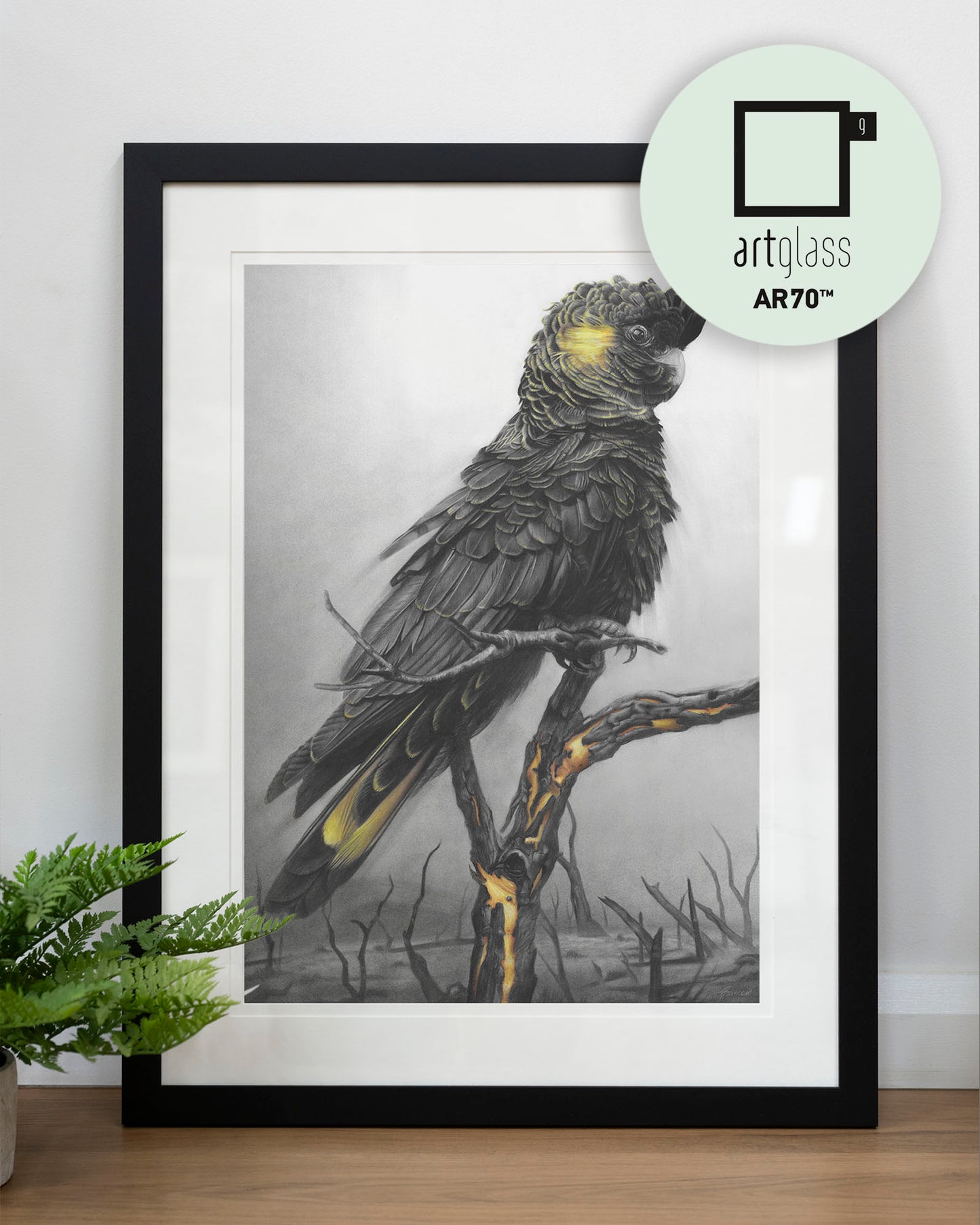 'Black Cockatoo' art print