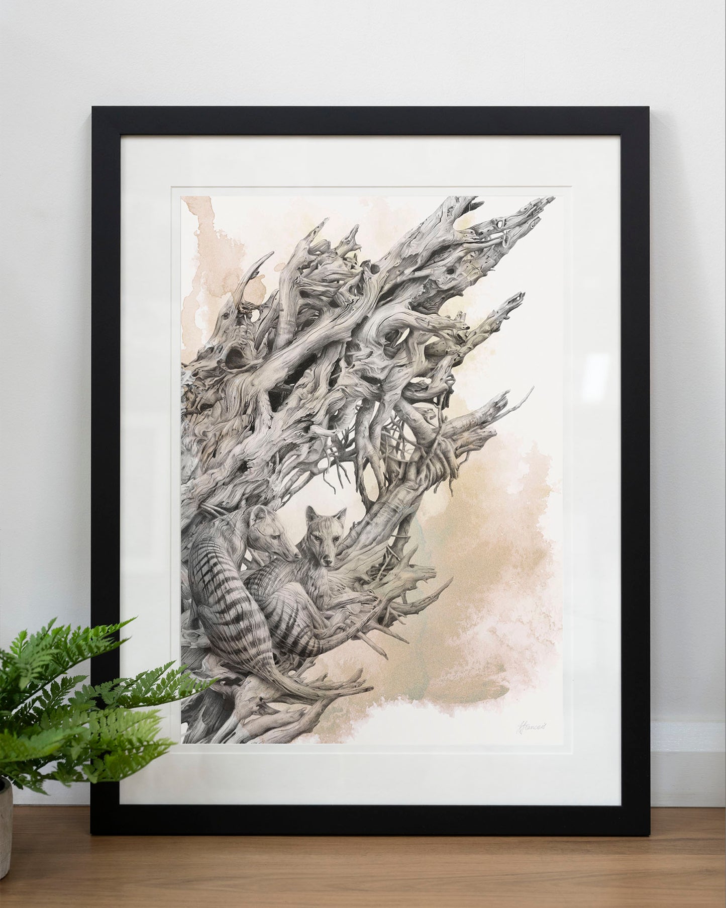 'Driftwood Thylacine' art print (with colour)