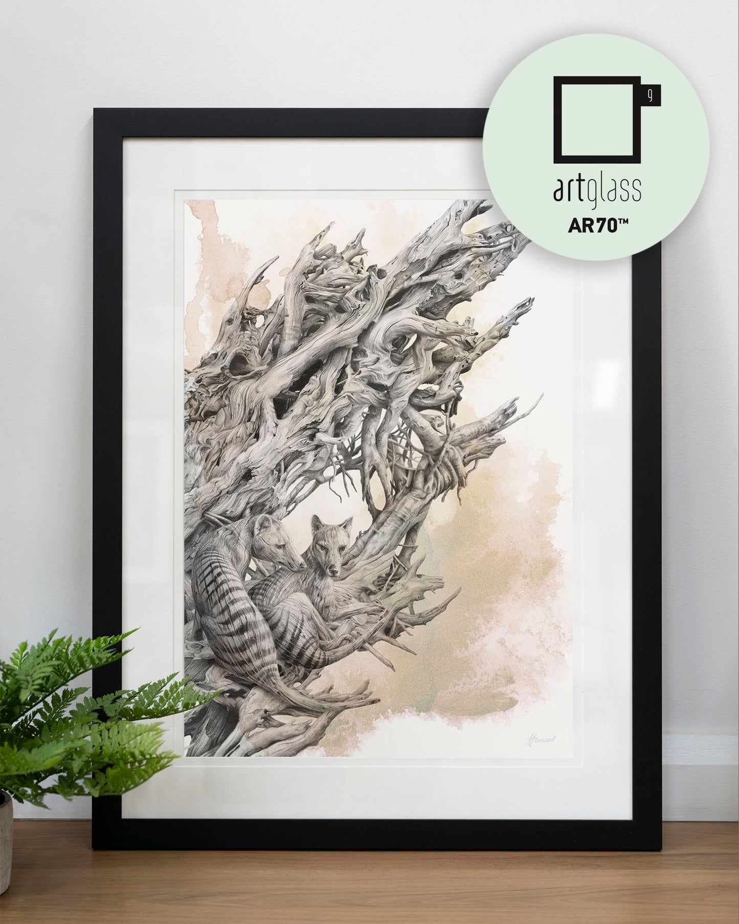 'Driftwood Thylacine' art print (with colour)