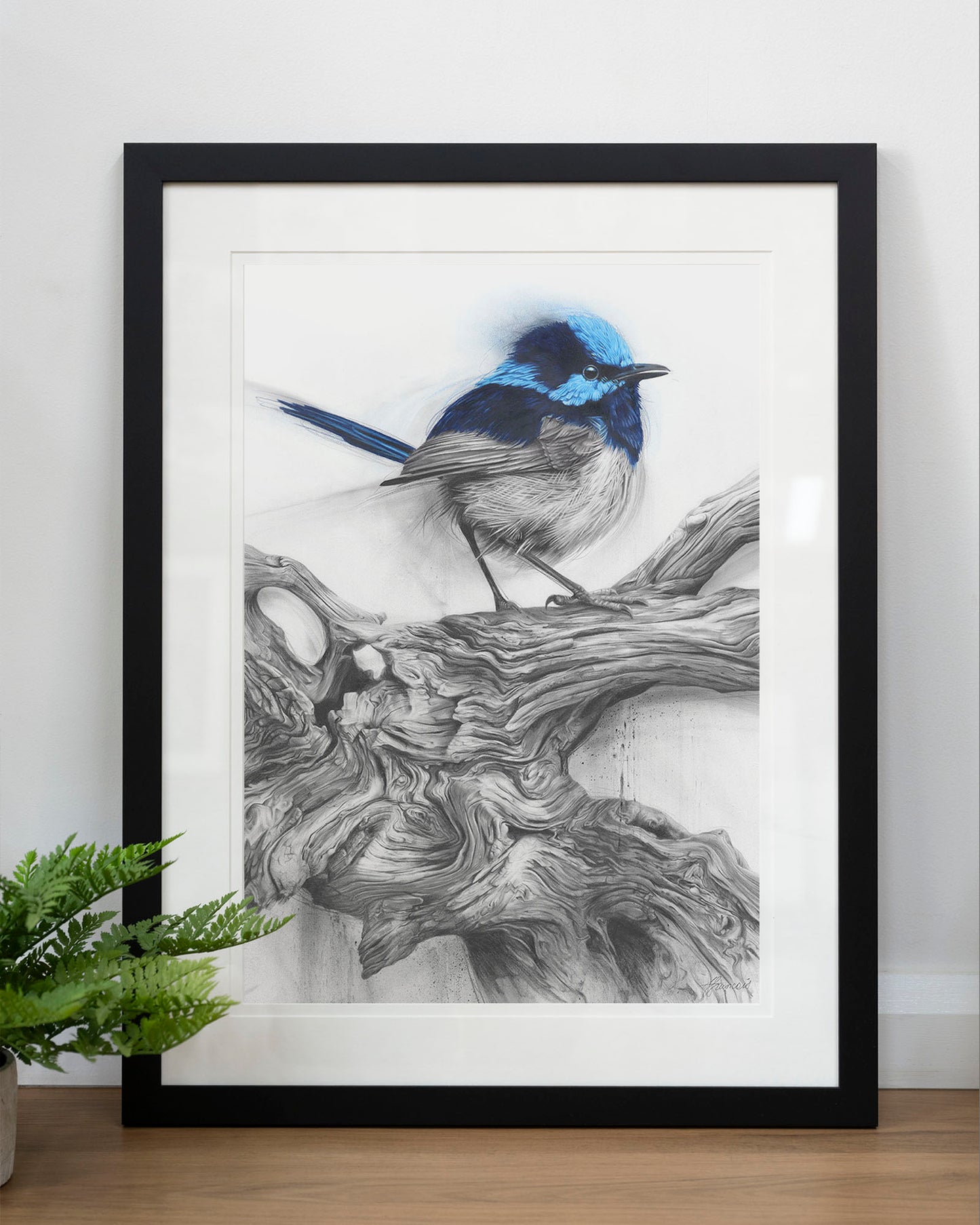 'Fairy Wren' art print