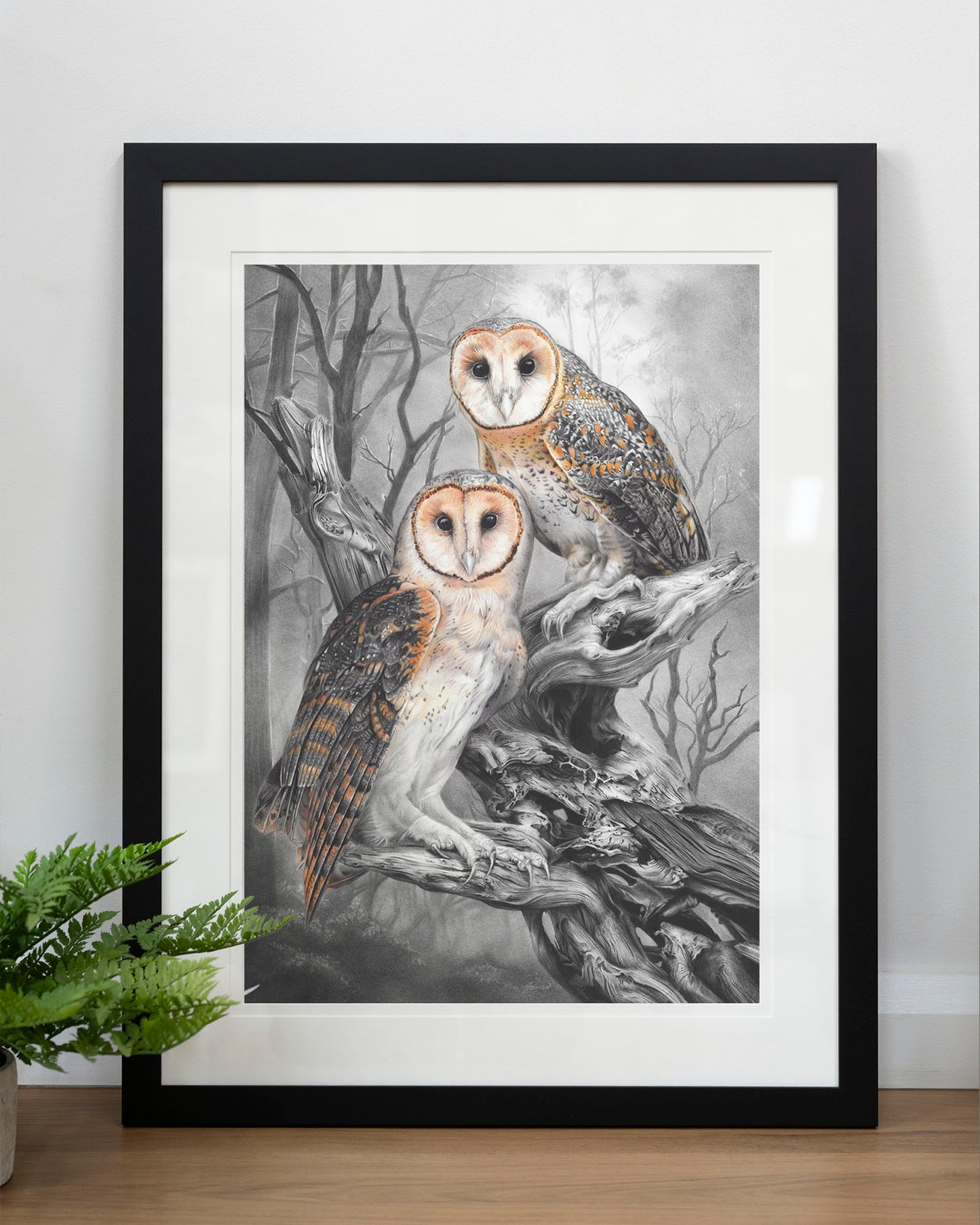 'Tasmanian Masked Owls' art print