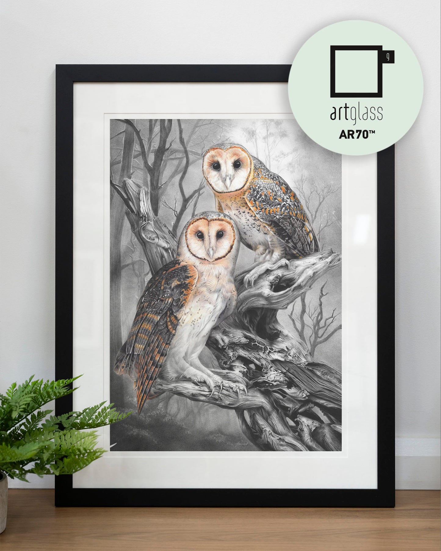 'Tasmanian Masked Owls' art print