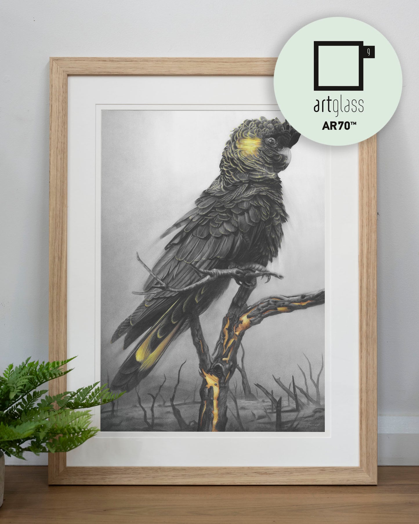 'Black Cockatoo' art print