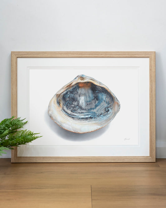 'Blue Shell' art print