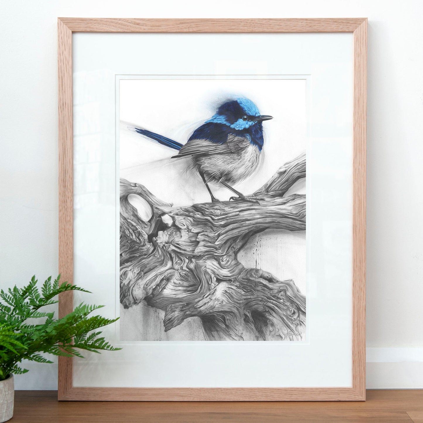 'Fairy Wren' art print