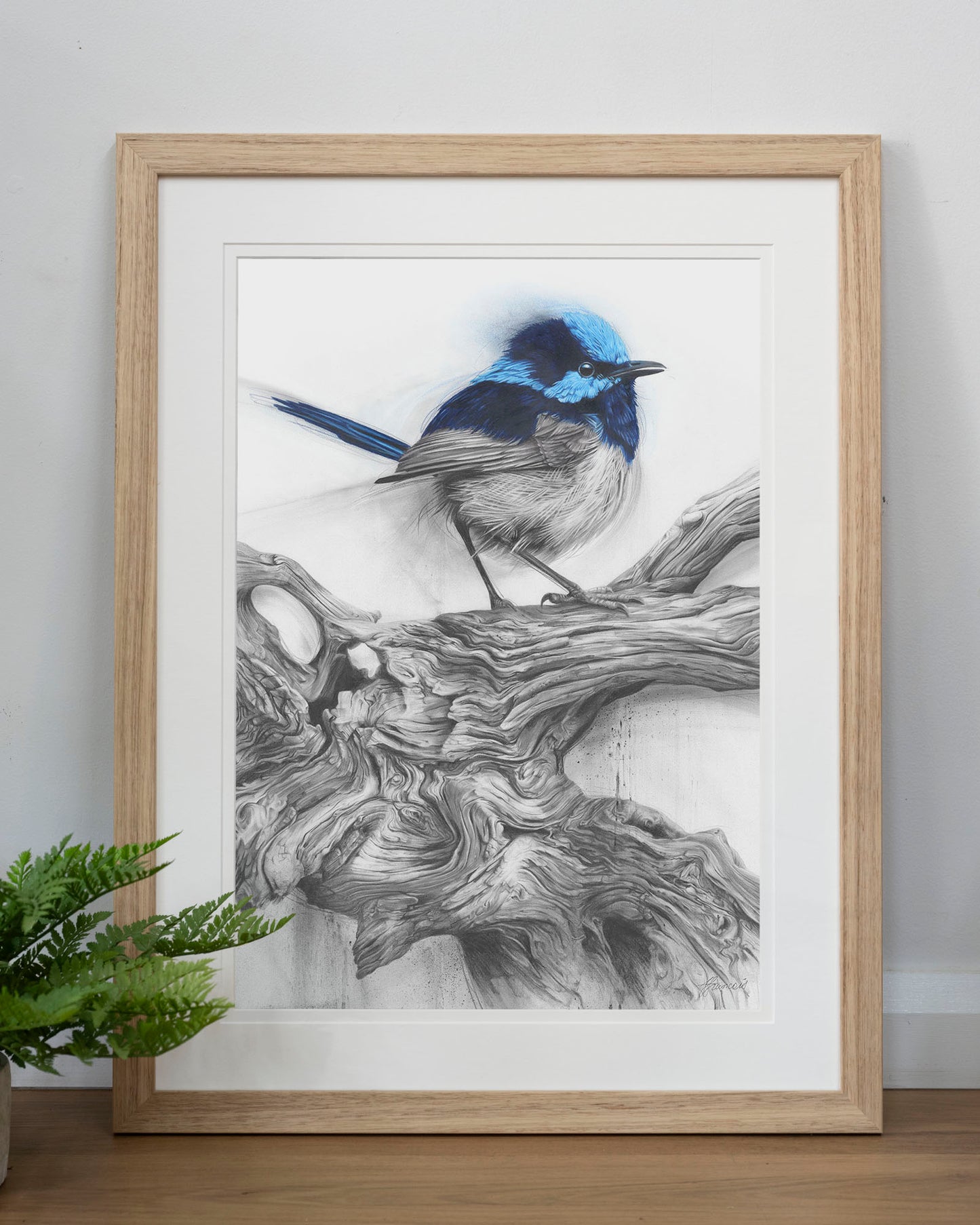 'Fairy Wren' art print