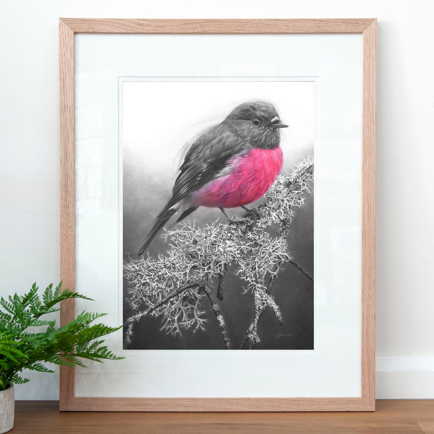 'Pink Robin' art print