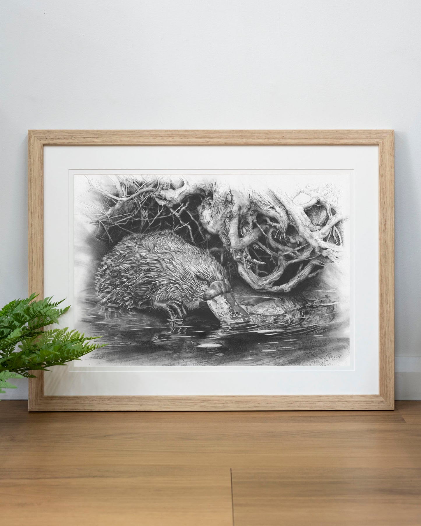 'Platypus' art print