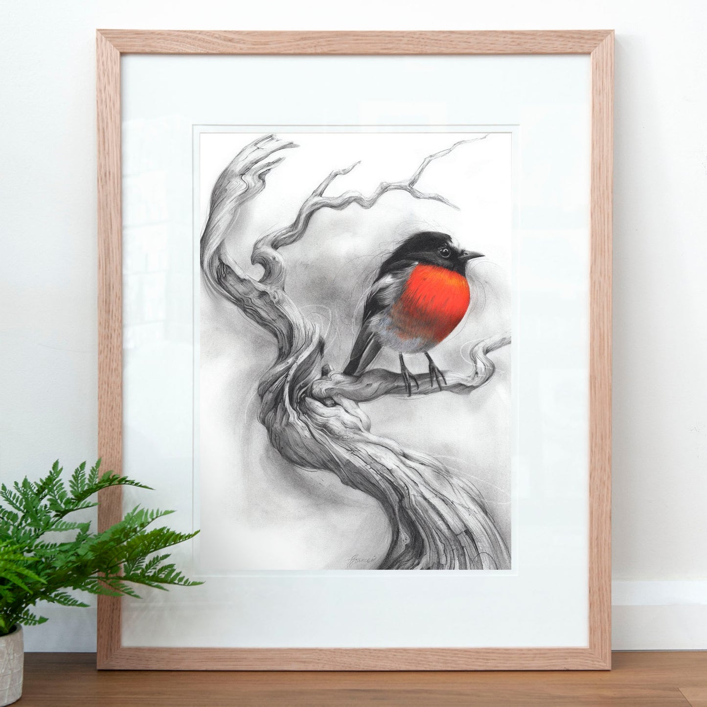 'Scarlet Robin' art print