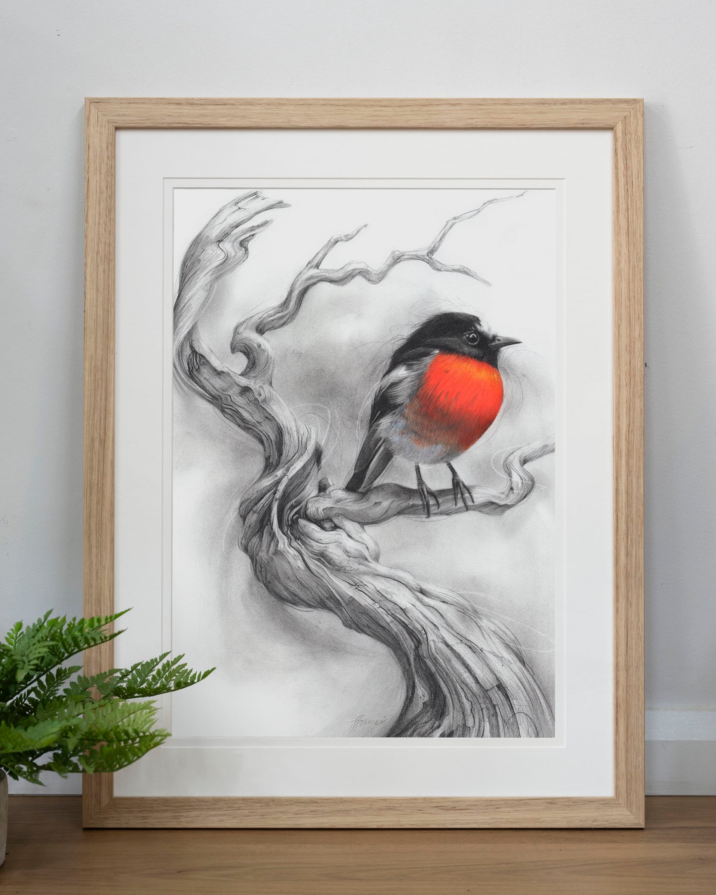 'Scarlet Robin' art print