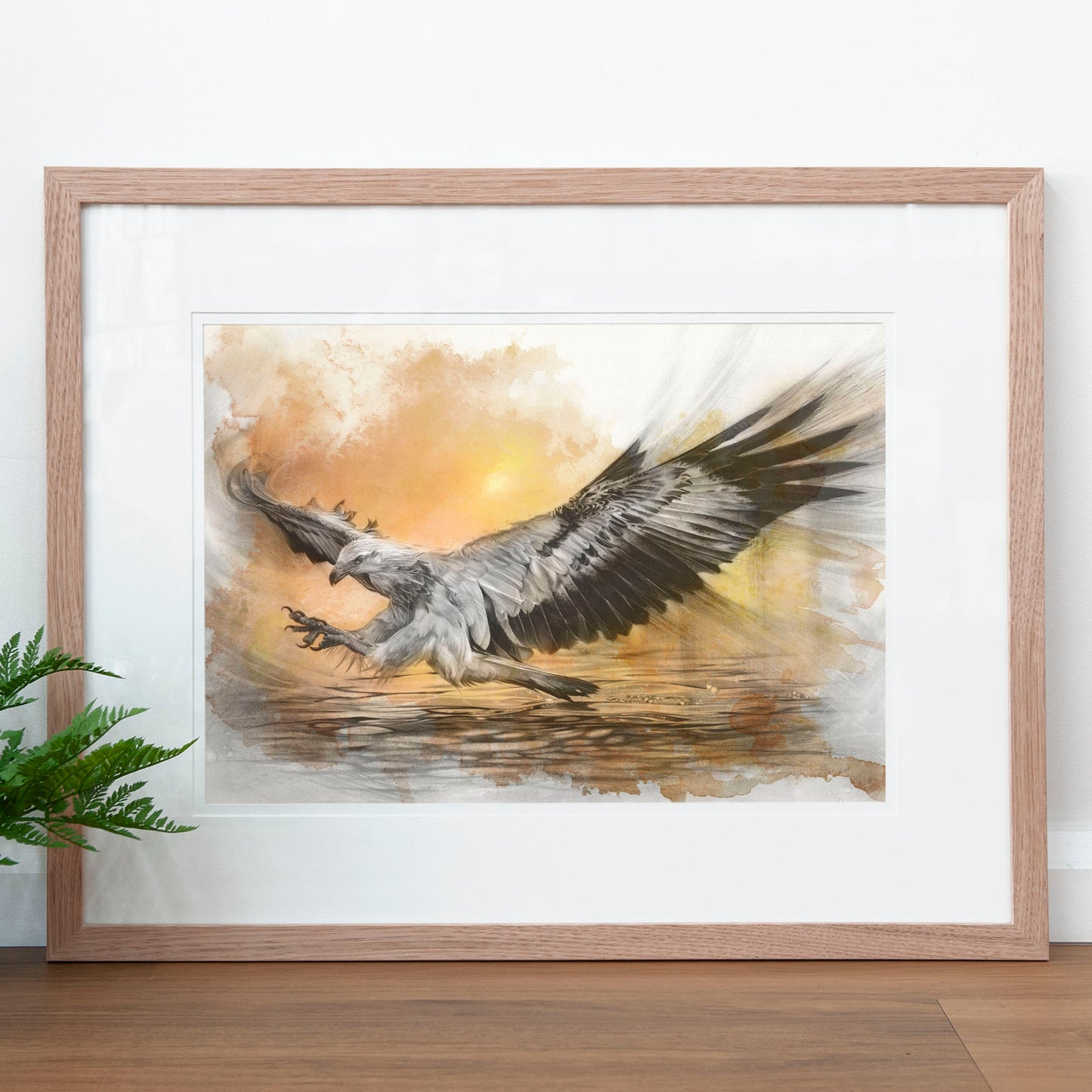 'White-bellied Sea Eagle Sunset' art print