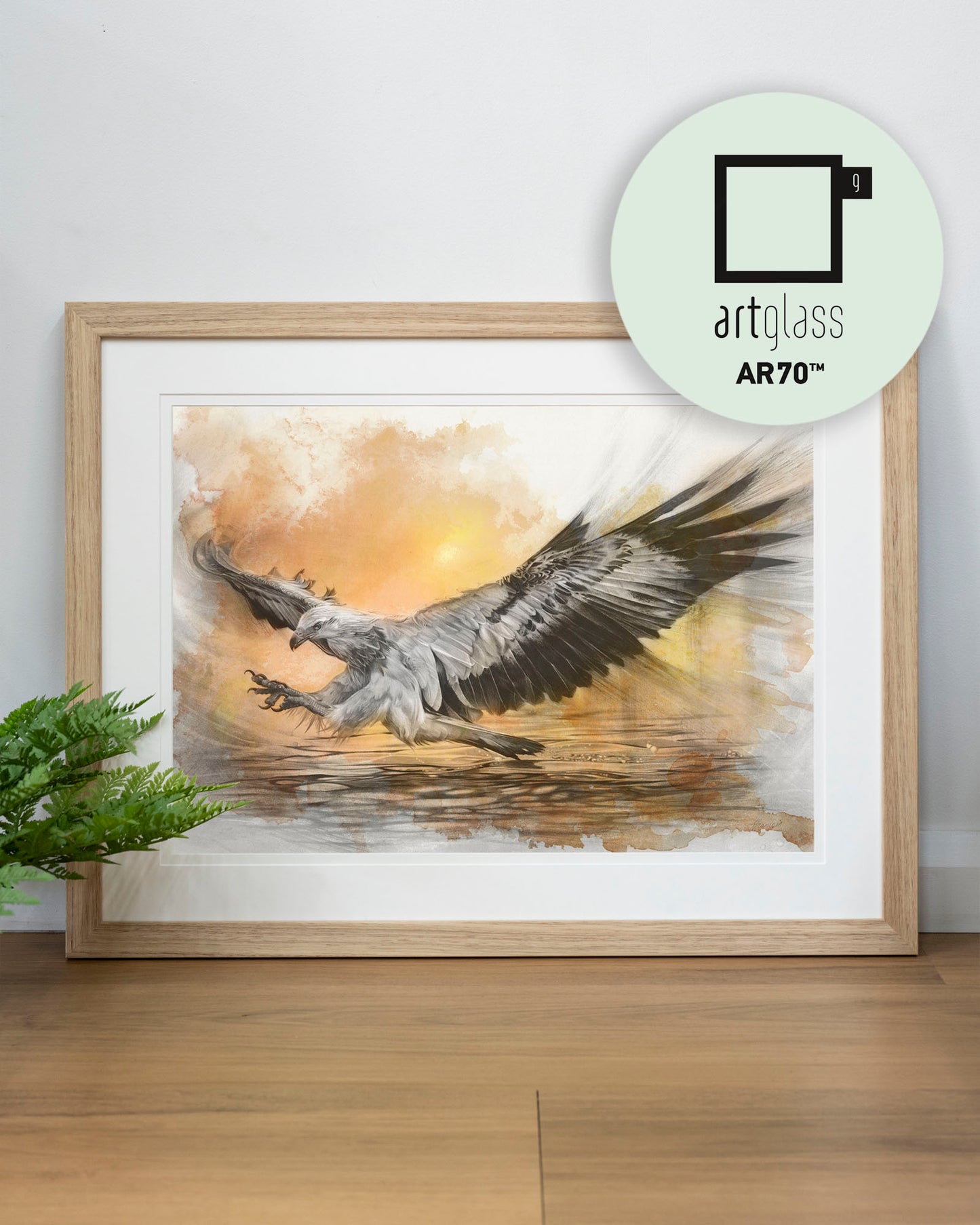 'White-bellied Sea Eagle Sunset' art print