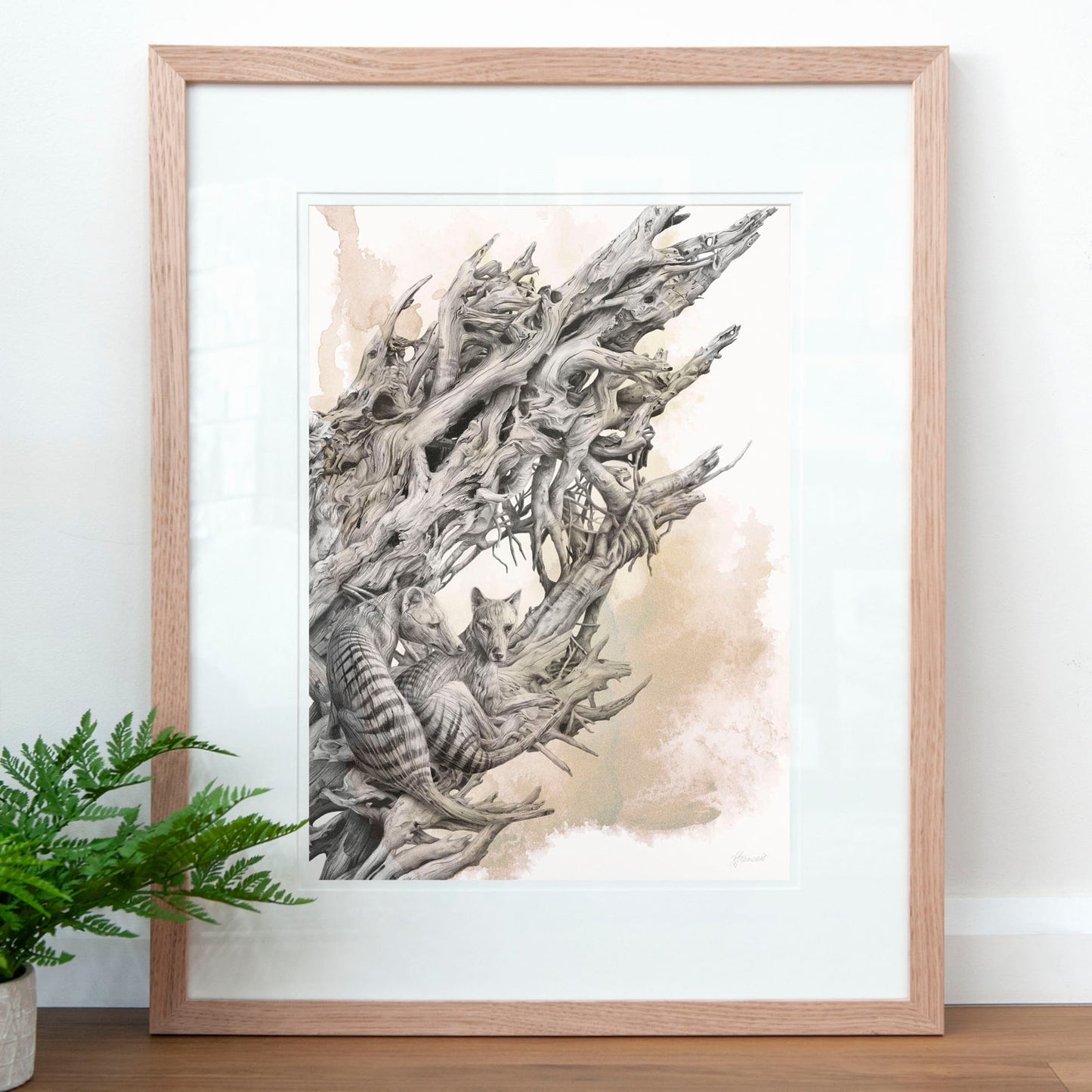 'Driftwood Thylacine' art print (with colour)