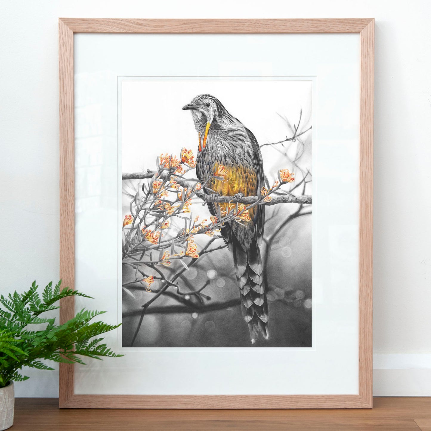 'Yellow Wattlebird' art print