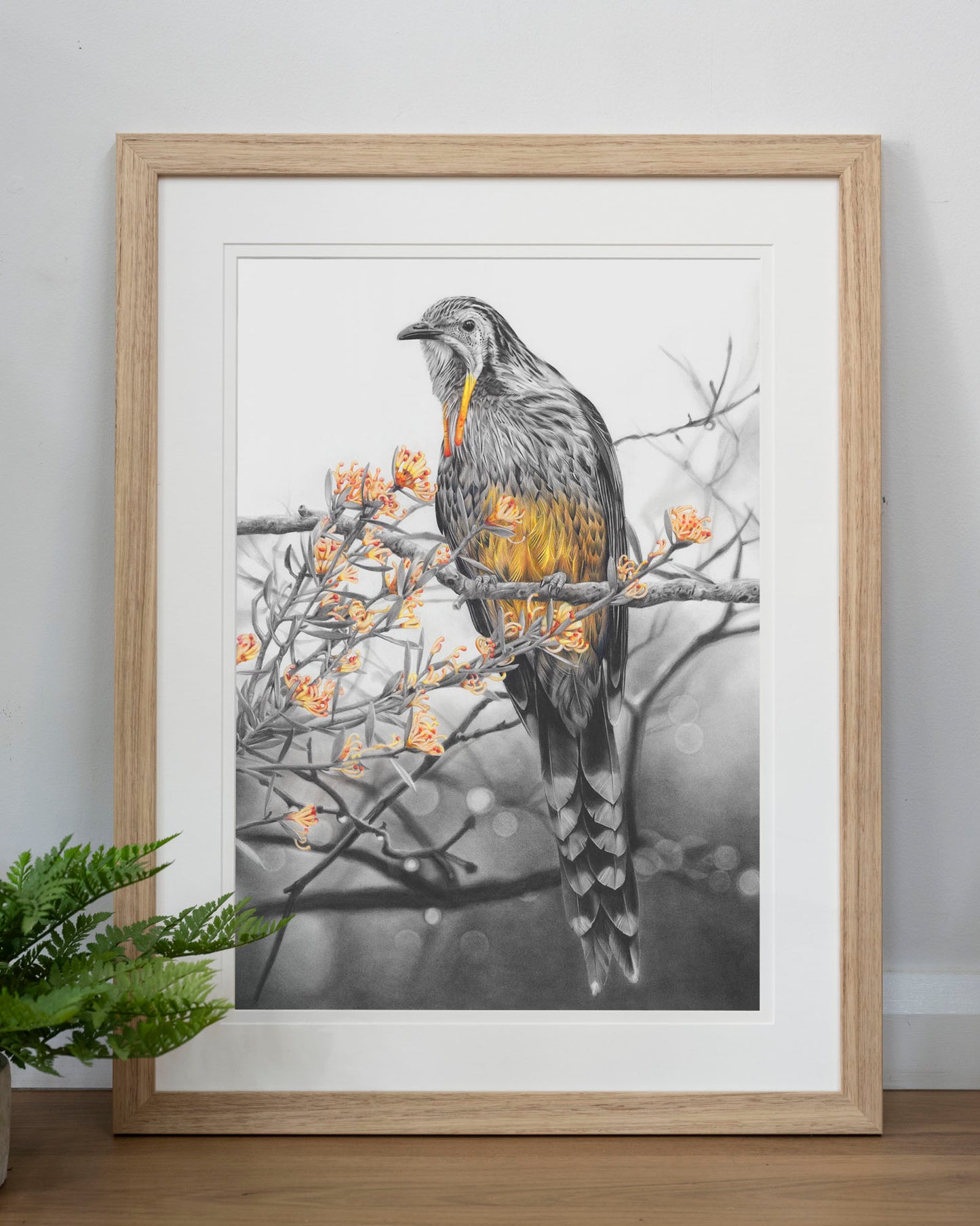 'Yellow Wattlebird' art print
