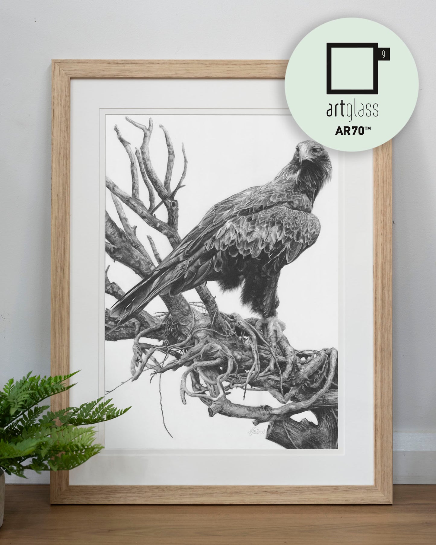 'Wedge-tailed Eagle' art print