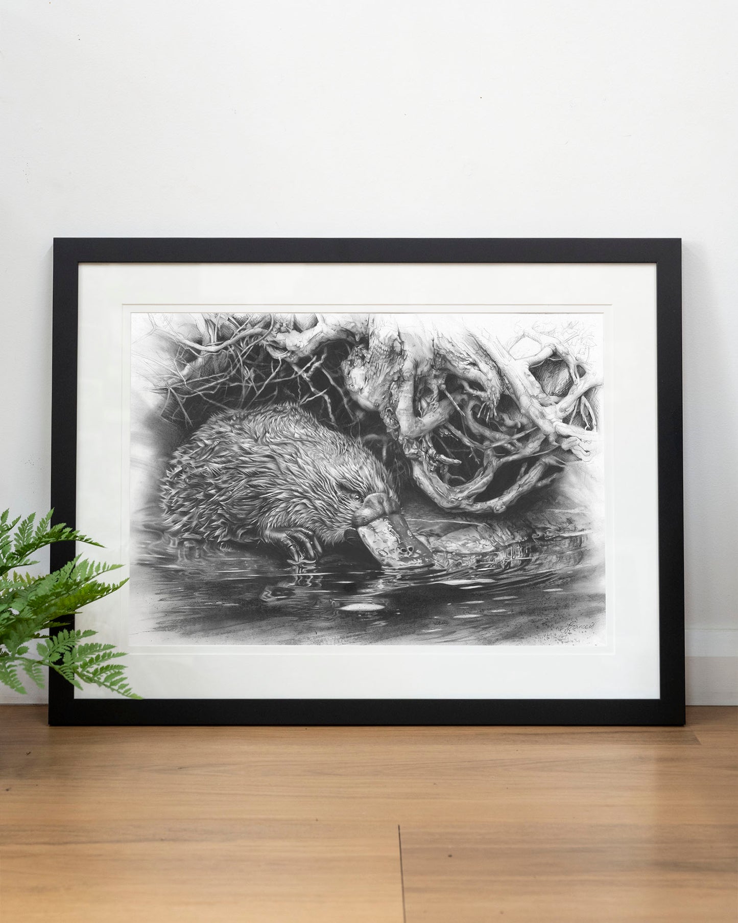 'Platypus' art print