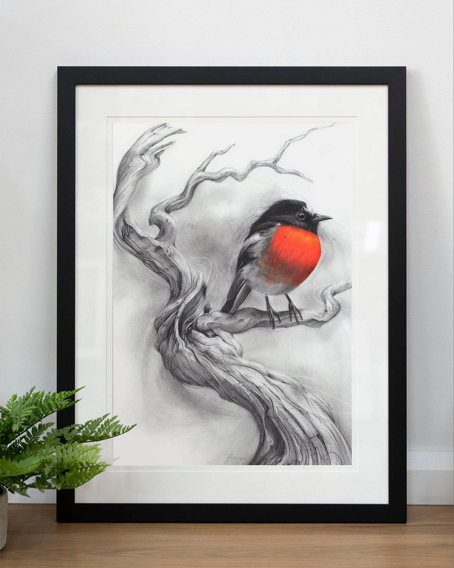 'Scarlet Robin' art print