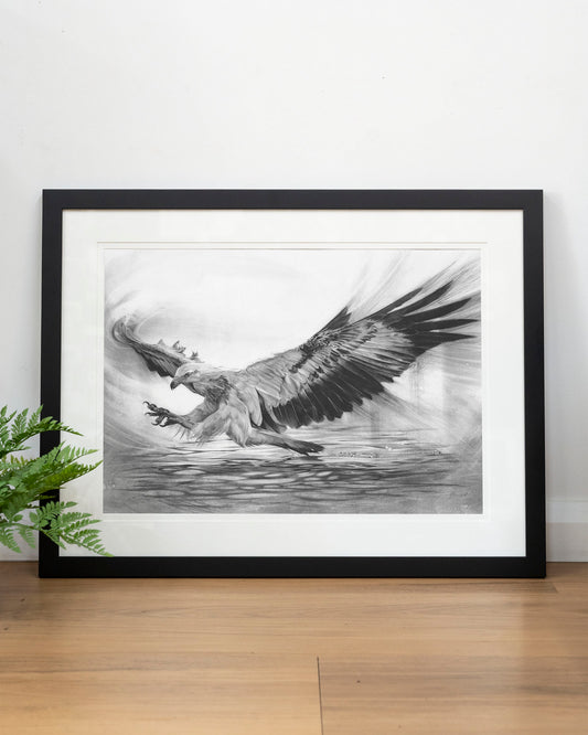 'White-bellied Sea Eagle' art print