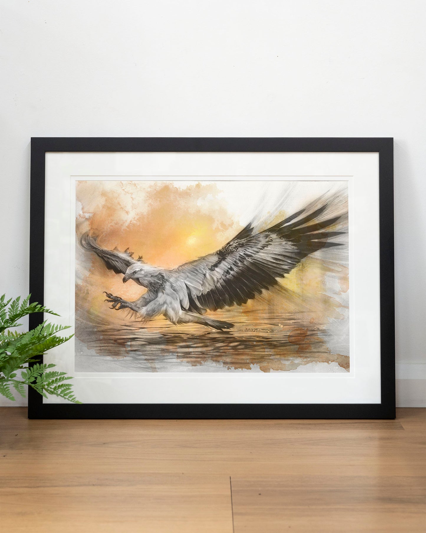 'White-bellied Sea Eagle Sunset' art print