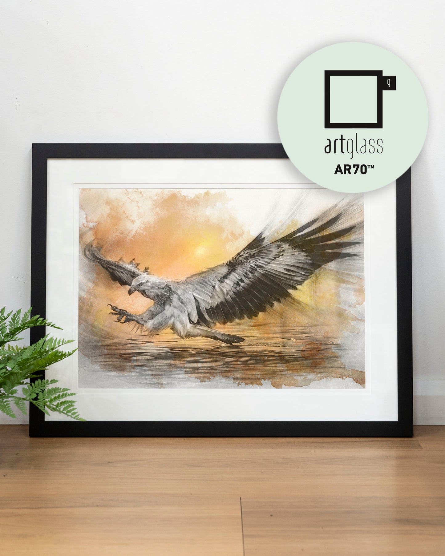 'White-bellied Sea Eagle Sunset' art print