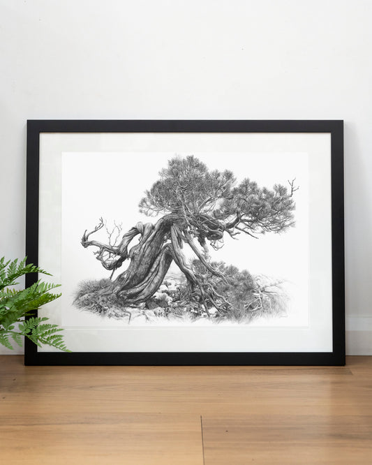 'Tree Elder 2' art print